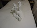 animal towels